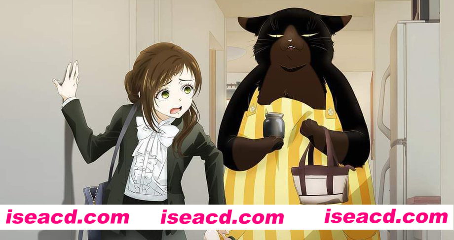 图片[2]-【完结番剧】能干的猫今天也忧郁 全13集 中字超清无修正版【6G】-嘤嘤怪之家