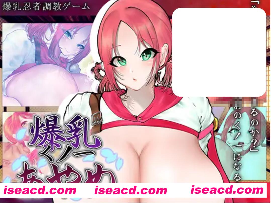 图片[1]-【养成SLG/AI汉化】爆乳女忍者菖蒲/爆乳くノ一あやめ AI汉化版+全回想 【1.2G/新作】-嘤嘤怪之家