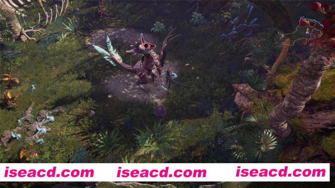 图片[5]-【大作ARPG/中文】最后纪元/Last Epoch V1.0 官方中文硬盘版【20G/新作】-嘤嘤怪之家