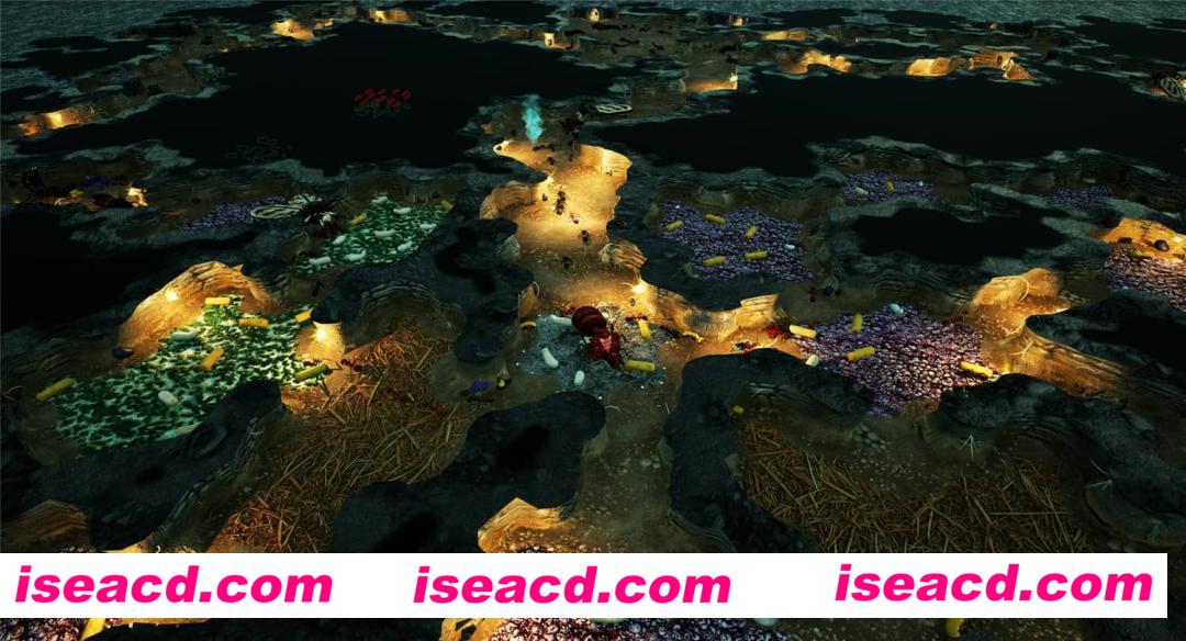 图片[13]-【模拟SLG/中文/3D】地下蚁国/Empires of the Undergrowth 官方中文硬盘版【5G/新作】-嘤嘤怪之家