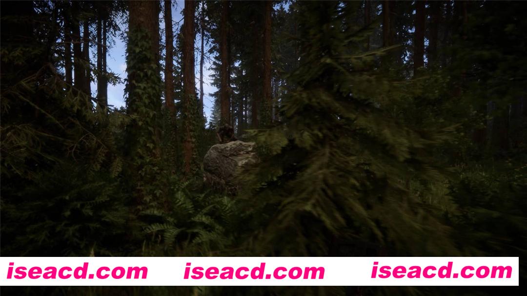 图片[6]-【大型ACT/中文/3D】森林之子-v47878 官方中文硬盘版+存档/可联机【15G/新作】-嘤嘤怪之家