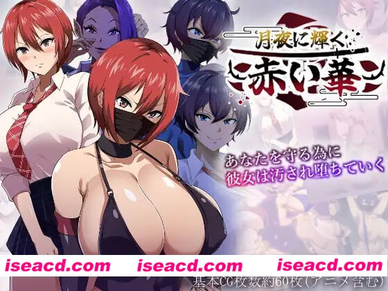 【爆款/精品/RPG/AI汉化/MTool】月夜下辉映的赤红之花正式版【PC/1.8G】