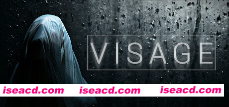 面容/Visage（正式版）