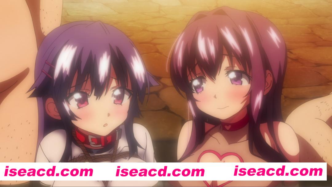 图片[1]-【福利番剧/中字/4K合集】千鹤酱开发日记 1-6 全集中字4K典藏版【3.9G】-嘤嘤怪之家