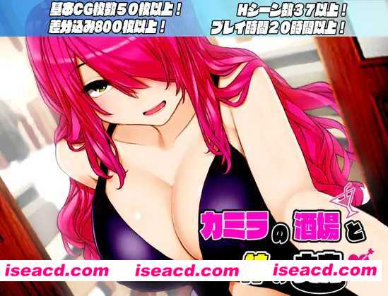 图片[1]-【日式RPG/ai汉化/全动态】放浪酒馆与神之大穴/カミラの酒場と神の大穴 Ver1.06 AI汉化版【1.9G】-嘤嘤怪之家