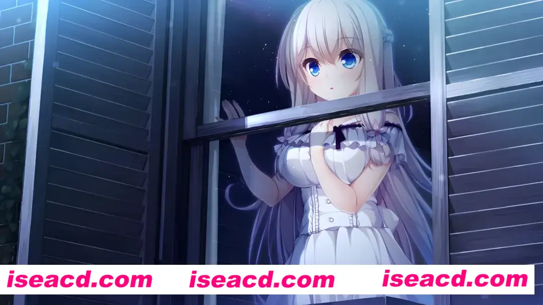 图片[2]-【日系ADV精品/汉化/全CG】候鸟的梦 Pieces 渡り鳥のソムニウム Ver1.0 汉化版+全CG存档【4.36G】-嘤嘤怪之家