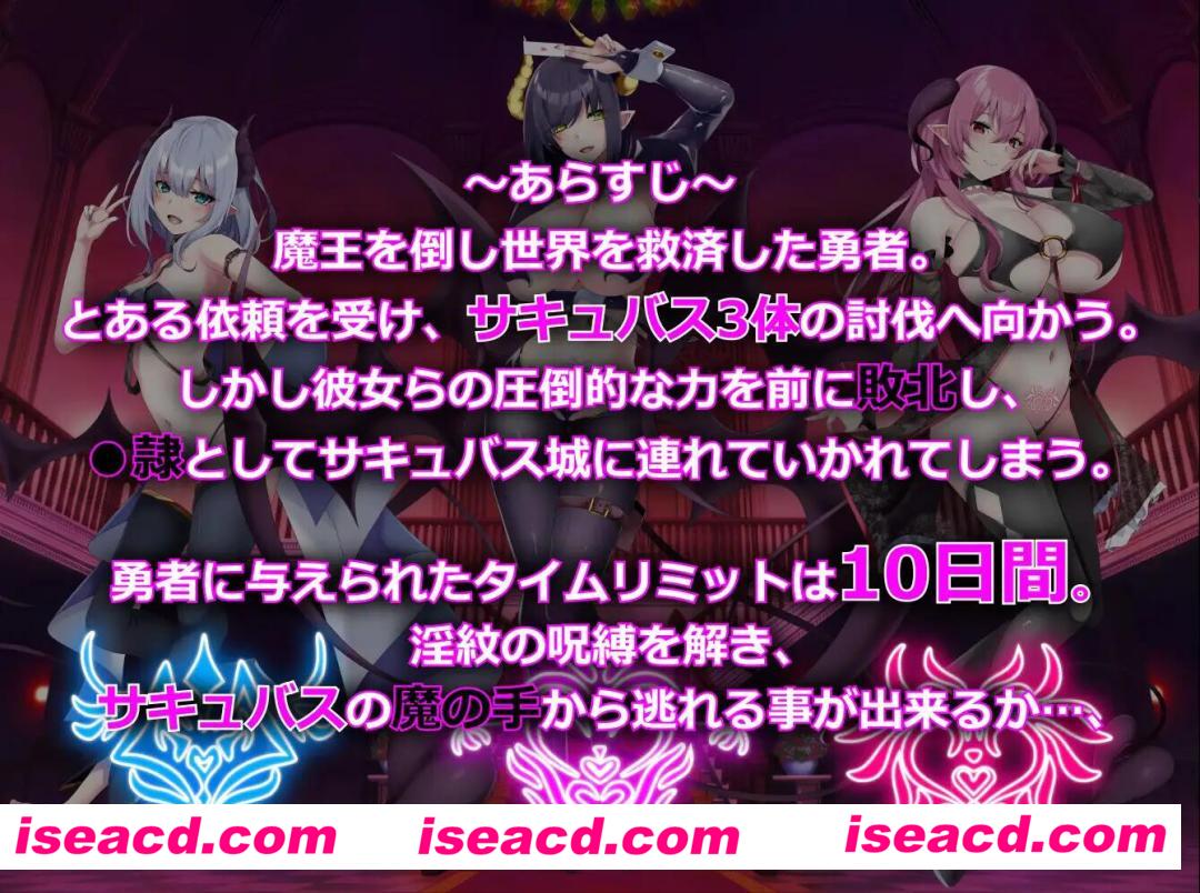 图片[2]-【日式SLG/AI汉化】魅魔赌场～银魔城魅魔~Ver1.02 AI汉化版【700M/新作】-嘤嘤怪之家