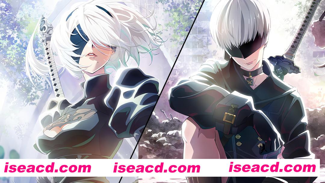 《尼尔：自动人形 Ver1.1a》全12集，无修版动画资源下载！ - www.animetox.com