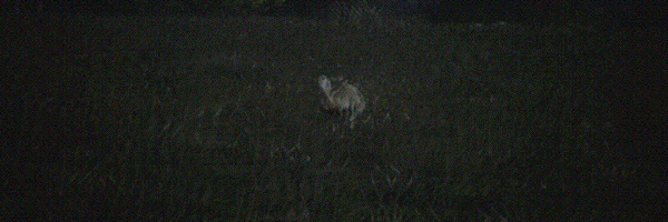 图片[13]-【大型生存RPG/中文/3D】西部狂徒 V.1.3.2 官方中文可联机版 【22G/英文配音】-嘤嘤怪之家