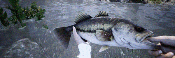 图片[17]-【大型生存RPG/中文/3D】西部狂徒 V.1.3.2 官方中文可联机版 【22G/英文配音】-嘤嘤怪之家