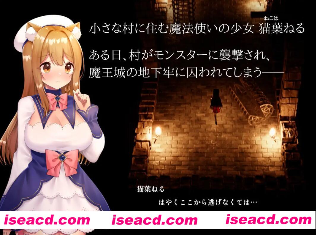 【日式ACT/中文/全动态】肉体熔炉CAULDRON FLAMES  Ver1.03 官方中文版【1.5G/全CV】