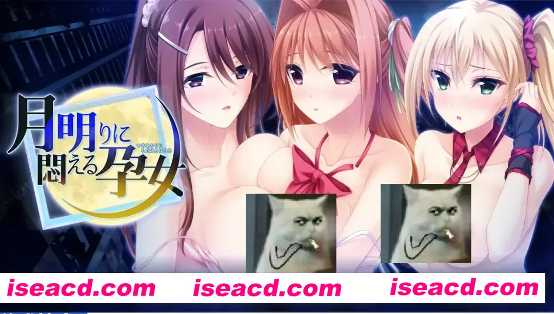 图片[1]-【日式ADV/AI汉化/拔作】月明りに悶える孕女 Claude-3-7-sonnet翻译版【900M/全CV/新汉化】-嘤嘤怪之家