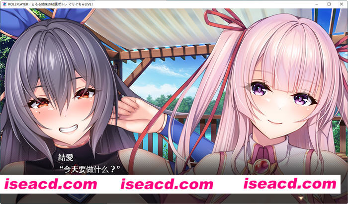 图片[6]-【大型精品ADV/精翻汉化/全动态CG】ROLEPLAYER：山药姐妹的黏膜游戏+APPEND整合 精翻汉化版【5.9G/全CV】-嘤嘤怪之家