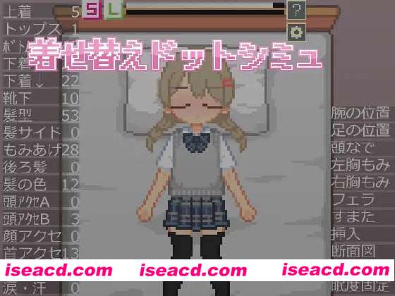 图片[1]-【日式SLG/汉化/像素风】换装点阵色色模拟  着せ替えドットシミュ 汉化版【300M/新作】-嘤嘤怪之家