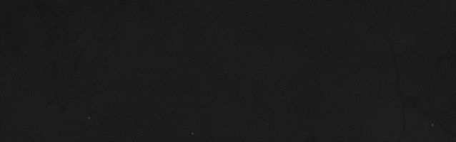 图片[1]-【RPG/中文/3D】猛鬼大厦2/Haunted House 2 粤语配音版 官方中文 V1.24 【5.6G/新作】-嘤嘤怪之家