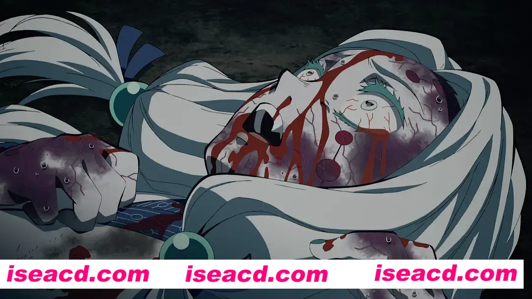 图片[3]-【完结番剧】鬼灭之刃 第一季 26集中文全集无修正版【10G】-嘤嘤怪之家