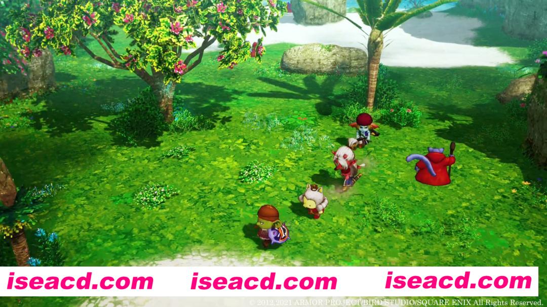 图片[6]-【大作日式RPG/中文】勇者斗恶龙10　觉醒的五种族 V2.0离线破解版 官方中文【55G/新破解】-嘤嘤怪之家