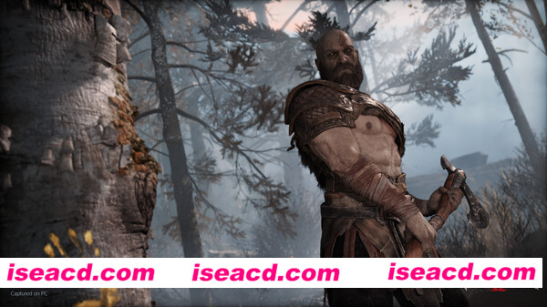 图片[2]-【大型ACT/中文/全DLC】战神（God of War）V1.013 STEAM官方中文破解版【40G】-嘤嘤怪之家