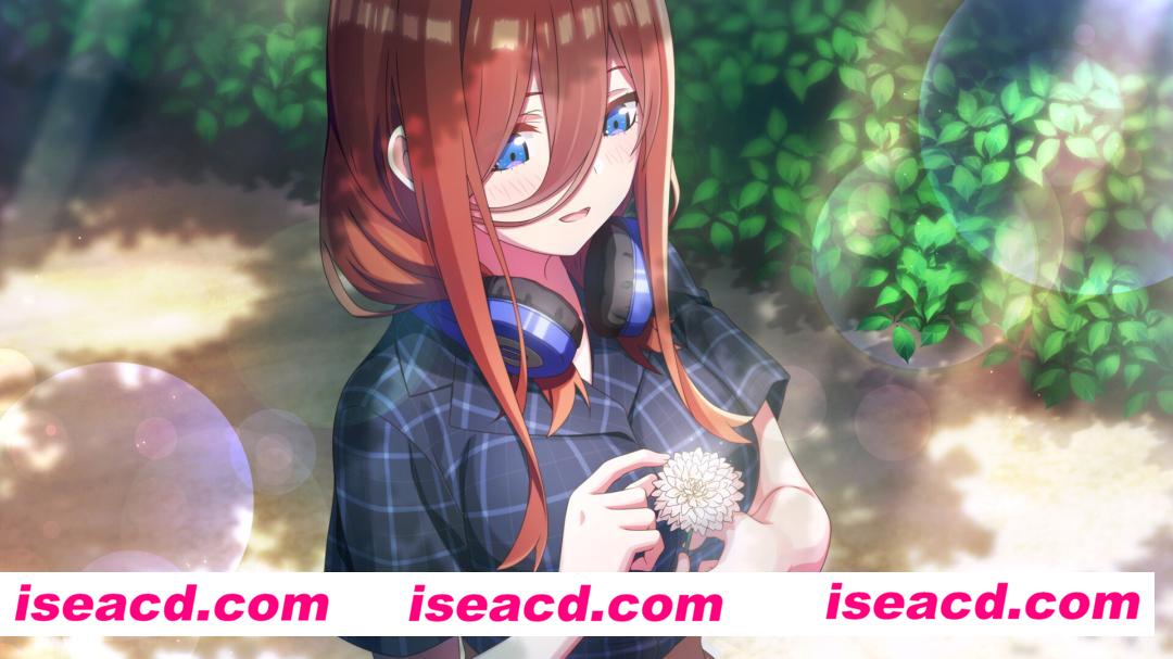 图片[4]-【ADV/中文/养成】五等分的新娘 ～夏日回忆也是五等分 官方中文繁体版【3.9G/全CV】-嘤嘤怪之家