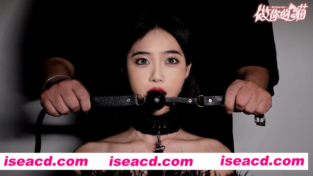 图片[1]-【互动SLG/中文/真人全动态】《当你的猫咪》TENOKE 官方中文硬盘版【33.6G/新作/中文配音】-嘤嘤怪之家