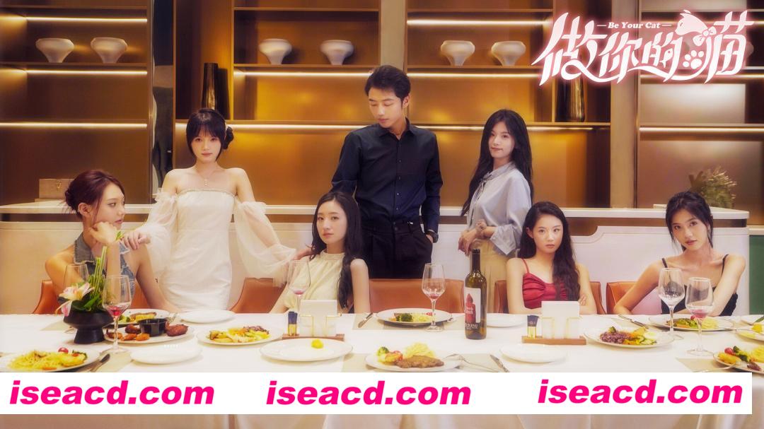 图片[4]-【互动SLG/中文/真人全动态】《当你的猫咪》TENOKE 官方中文硬盘版【33.6G/新作/中文配音】-嘤嘤怪之家