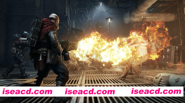 图片[11]-【大型FPS/中文/全DLC】战锤40K：暗潮 V1.2.2106 官方中文可联网/联机版【42G】-嘤嘤怪之家