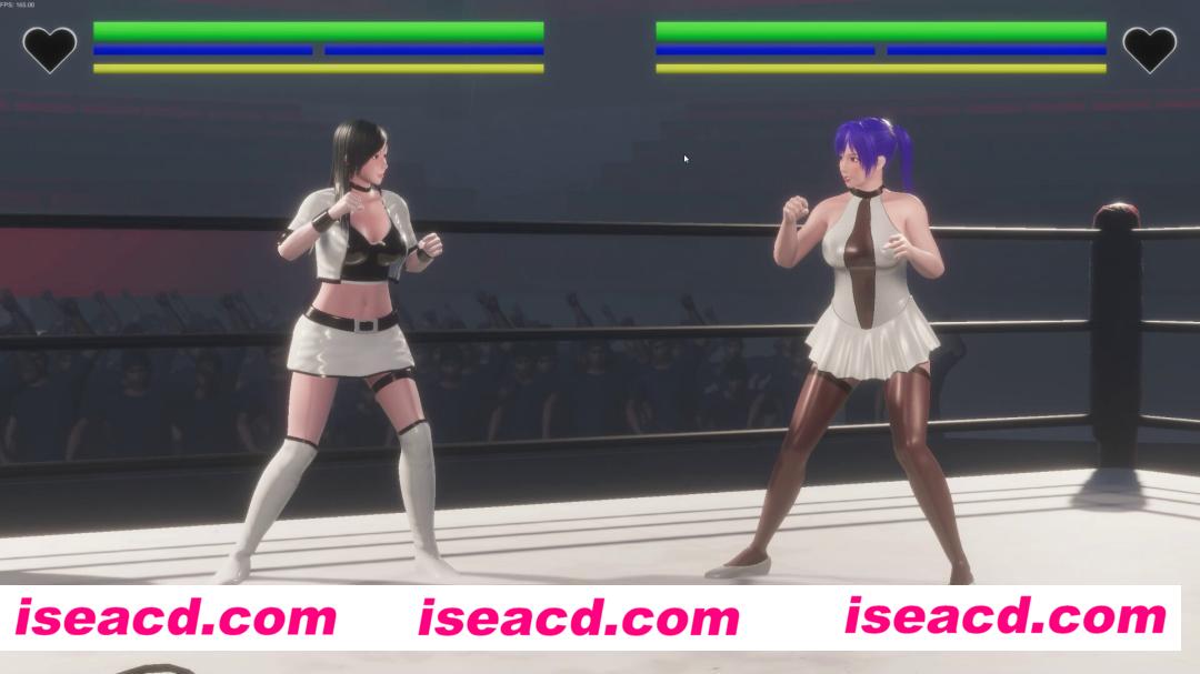 图片[5]-【ACT/3D/全动态】无限制超激女子格斗大赛 ！RUMBLE BLAZING Live A Battle Ver2803【2G/全CV】-嘤嘤怪之家