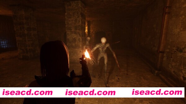 图片[12]-【生存恐怖ACT/中文/3D】绝望：血之诅咒 V1.01官方中文硬盘版【7.9G/新作】-嘤嘤怪之家