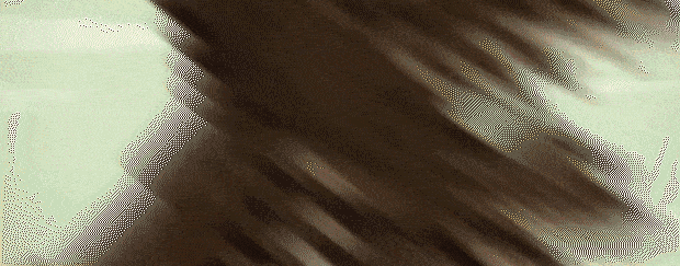 图片[1]-【武侠RPG/中文/怀旧像素】大江湖之苍龙与白鸟/The World Of Kong Fu 官方中文正式版【2G/正式版】-嘤嘤怪之家