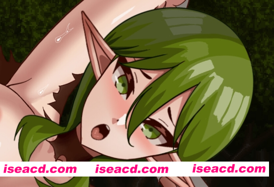 图片[1]-【日式ACT/中文/动态CG】精灵弓箭手与消失的大树 官方中文步兵版【300M/新作/CV】-嘤嘤怪之家