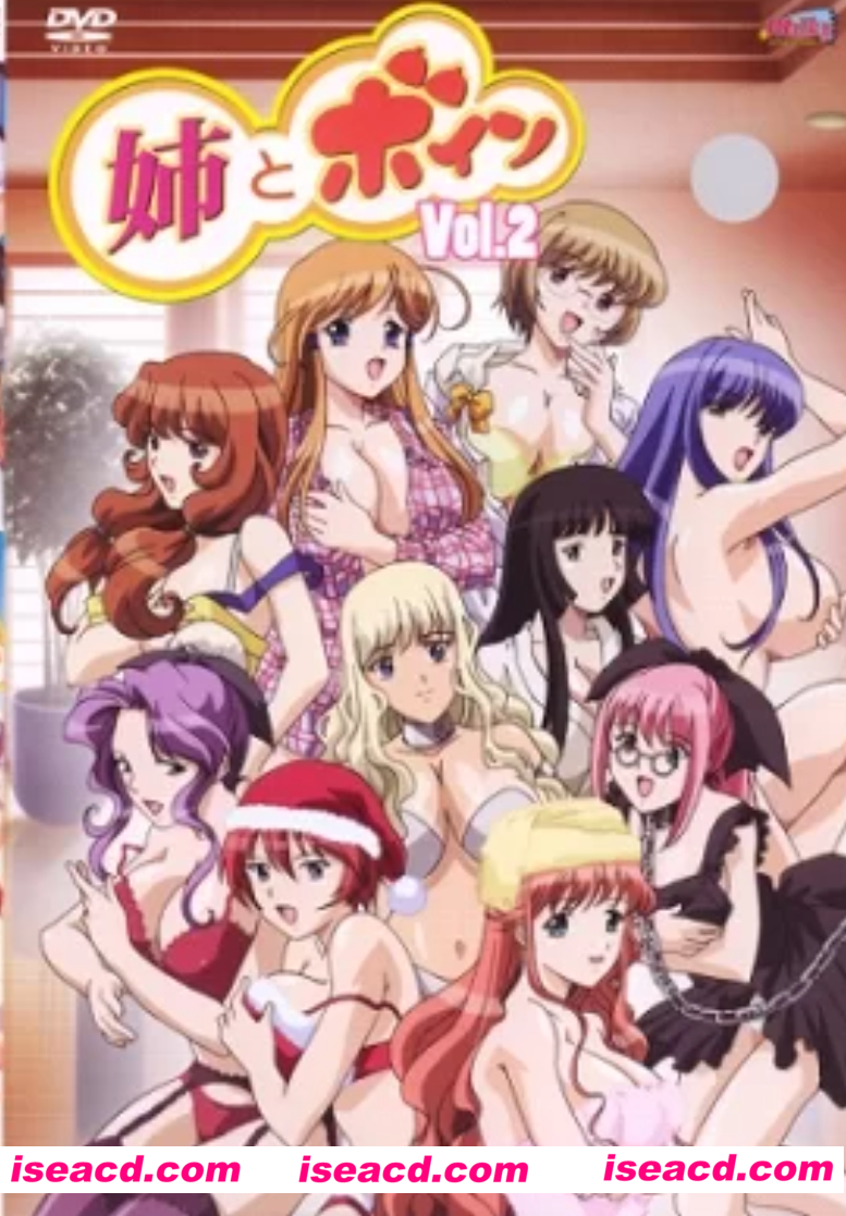 【里番/中字/步兵】姐姐和Boin 姉とボイン 1-2 中字4K步兵合集【4.9G/全CV】