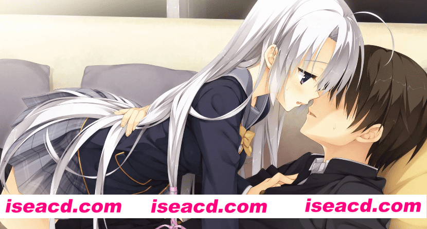 【大型ADV/官中】魔女的夜宴【电脑/6.45G】