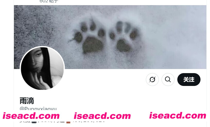 图片[1]-【合集/视频/步兵】推特福利姬：雨滴(@Puppyxiaoyu)  赞助视频合集步兵版 【750M】-嘤嘤怪之家