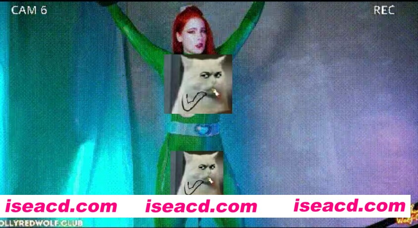 图片[1]-【COSPLAY/视频/步兵】[mollyredwolf] 少女特工 Sam 4K  [1v]【1.9G】-嘤嘤怪之家