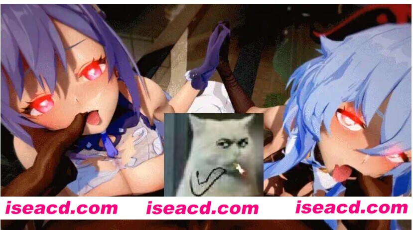 图片[1]-【MMD/步兵/合集】 [AlphaG]刻晴&甘雨&申鹤 [2V]【800M/CV】-嘤嘤怪之家