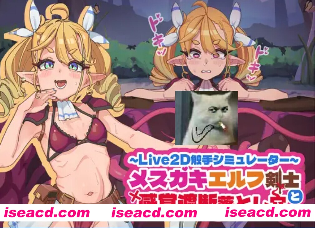 图片[1]-【SLG/中文/全动态】精灵女剑士与感觉遮断触浦西陷阱 メスガキエルフ剣士と感覚遮断落とし浦西 官方中文版【200M/新作】-嘤嘤怪之家