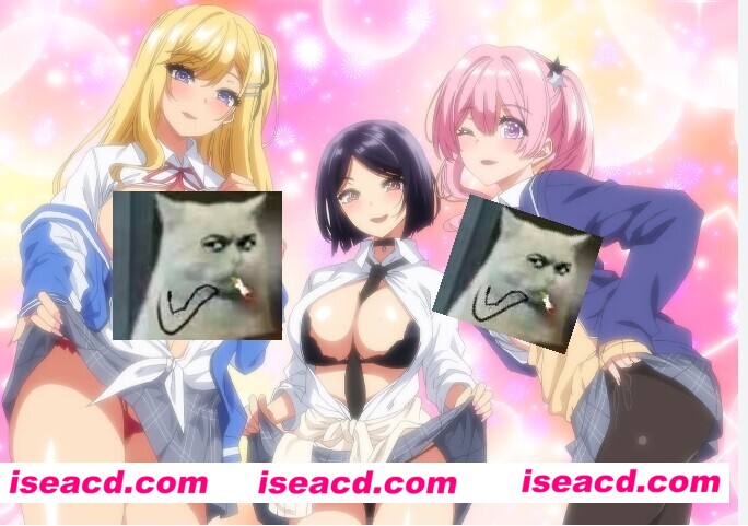 图片[1]-【里番/中字/合集】OVA 陰キャカップルが陽ギャル達とSEXトレーニングする話 1＋2 [2V]【600M/CV】-嘤嘤怪之家