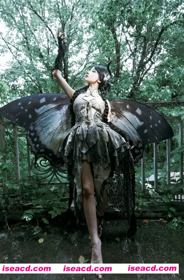 图片[2]-【COSSPLAY】[蠢沫沫]枯叶蝶 [87P] 【1.2G】-嘤嘤怪之家