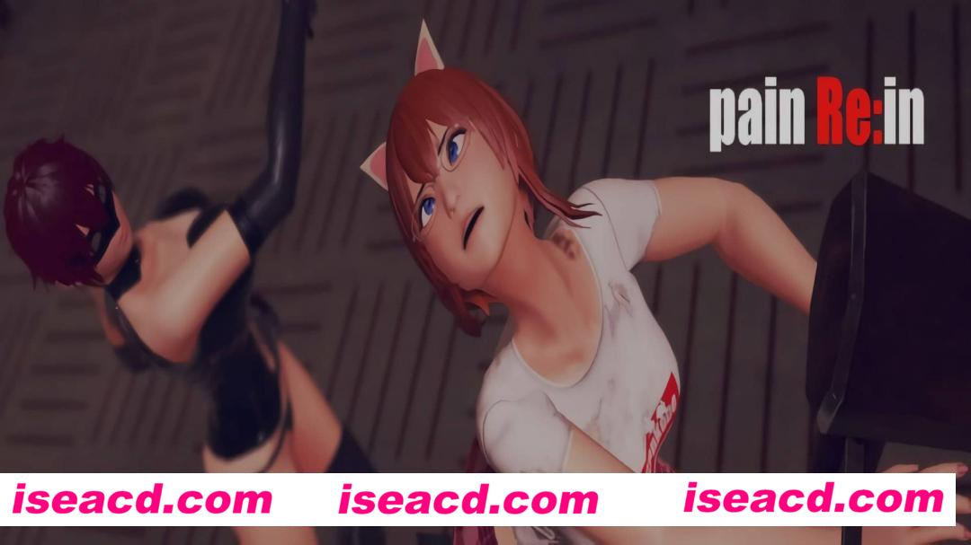 【3D/ACT/骑兵】painRe:in painRein ver0.081【PC+安卓/11.4G】