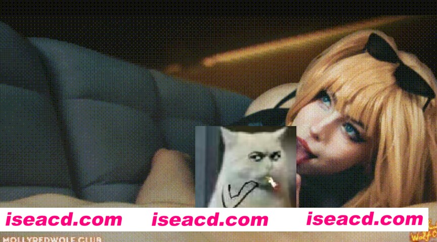 图片[1]-【COSPLAY/视频】[2025-07-02][mollyredwolf] 绝区零 伯妮斯 步兵 [1v]【900M】-嘤嘤怪之家