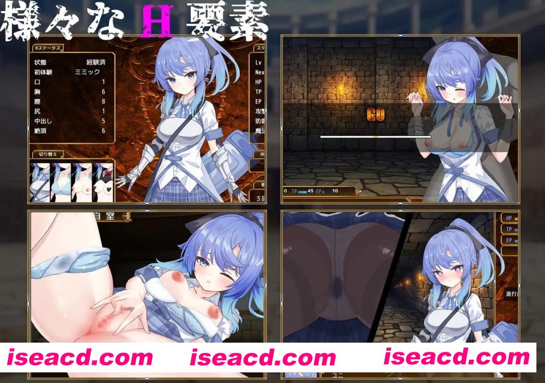 【精品/RPG/AI汉化/MTool】塞洛布斯竞技场v1.0【PC/2.7G】SelobusArena v1.0