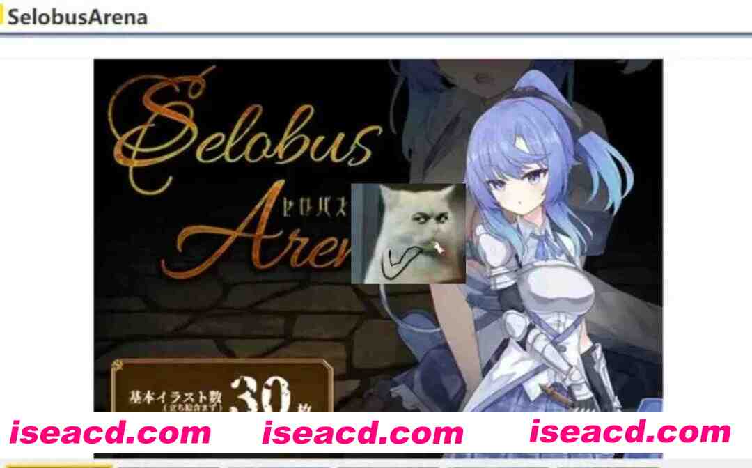 图片[1]-[日式RPG/AI汉化] 塞洛布斯竞技场 SelobusArena AI汉化版 [2.8G/新作/CV]-嘤嘤怪之家