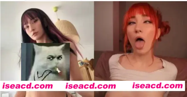 图片[1]-【COS/视频/合集】推特coser「Pufffypink」 onlyfans赞助作品合集 【5G】-嘤嘤怪之家