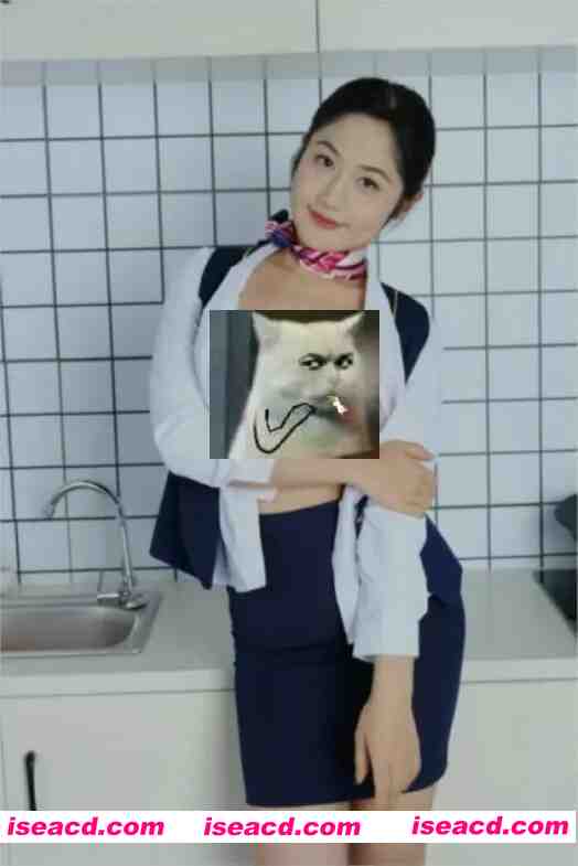图片[1]-[写真/合集] 国模雪桃 onlyfans赞助作品：空姐 [660P] [300M]-嘤嘤怪之家