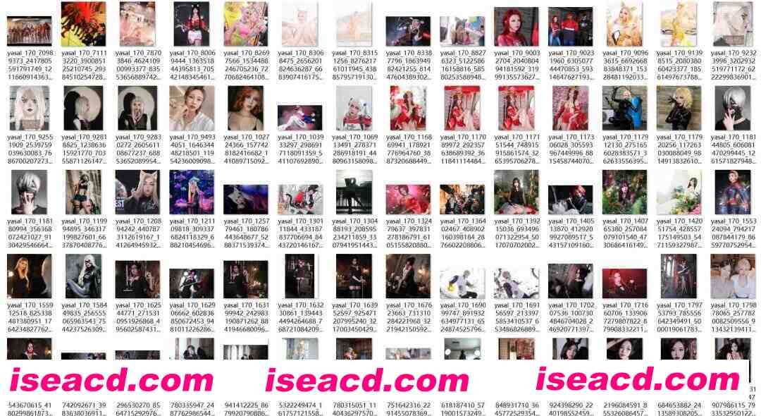 图片[2]-[COSPLAY/合集/带视频] [25Bilibili World漫展][Coser 야살/Yasal 全平台媒体合集] [1.3G]-嘤嘤怪之家