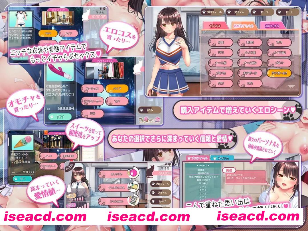 【SLG/AI汉化/MTool/CV】与流浪猫少女的生活 CAT Girl Sweet Days【PC/1.7G】