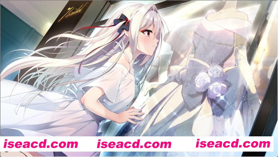 【ADV/AI汉化/CV/存档】流星 FDv1.1【PC/2.0G】