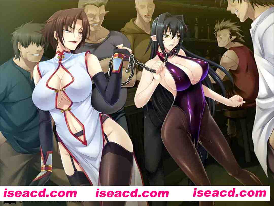 图片[2]-【拔作ADV/汉化/动态/PC】钢铁魔女安妮罗丝 鋼鉄の魔女アンネローゼ-全系列典藏合集 AI汉化内嵌版+动画+CG【4.44G】-嘤嘤怪之家