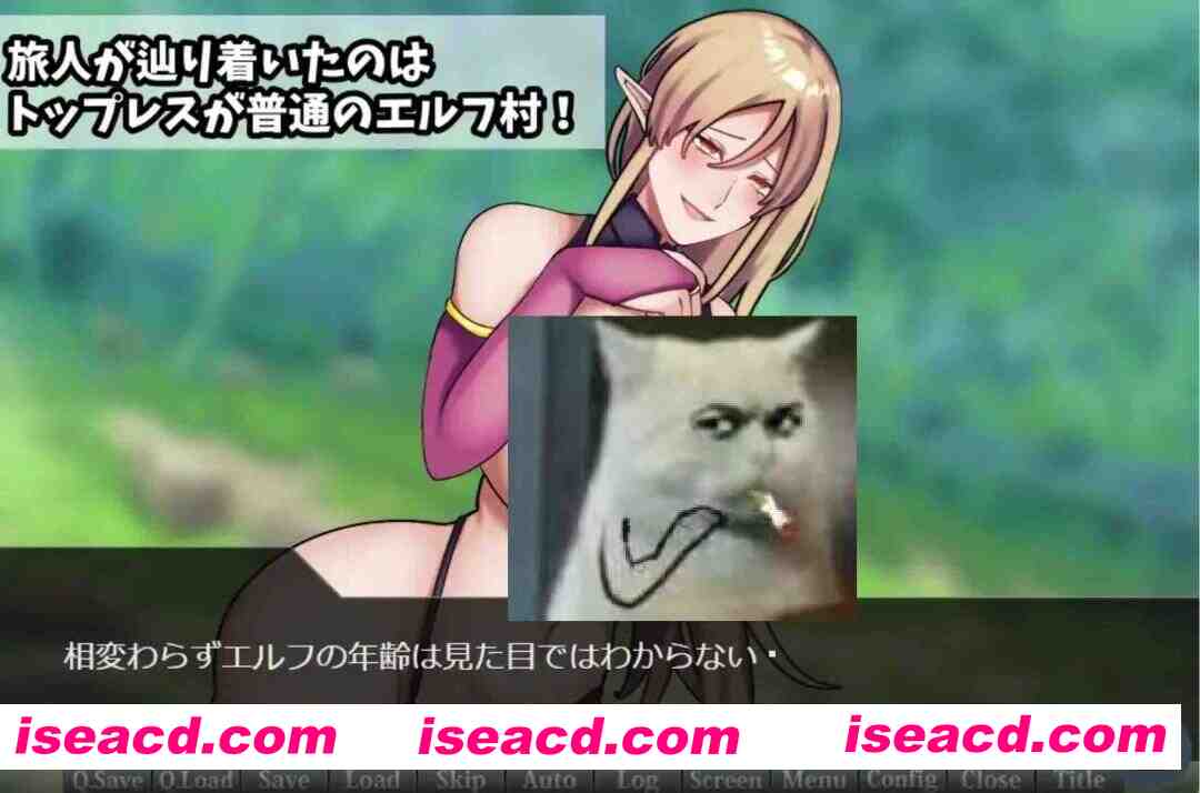 图片[1]-[日式RPG/AI汉化] 无上装精灵姐姐的村庄/トップレスエルフおねえさんのむら AI汉化版 [600M/新作]-嘤嘤怪之家