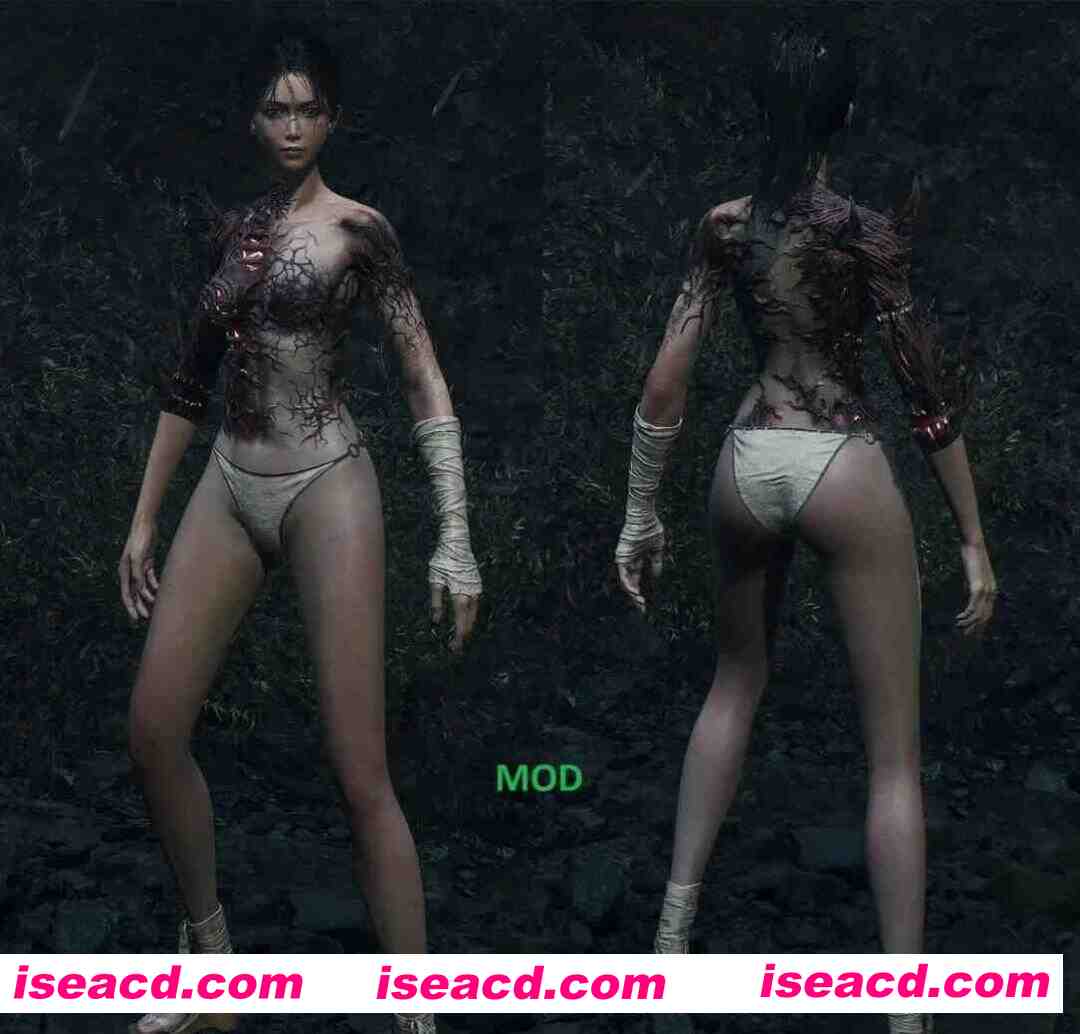 图片[2]-【国产3A大作/官中/绅士MOD】明末：渊虚之羽 Ver178111 官方中文豪华全DLC破解版+绅士MOD整合包+ [附修改器+升级补丁]【46.8G】-嘤嘤怪之家